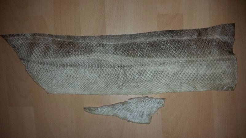 20151117_174955.jpg