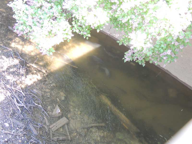 DSCN2069.jpg