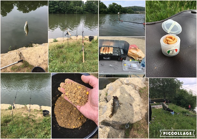 Collage 2018-05-19 19_03_36.jpg
