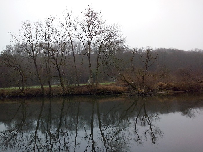 Donau Kohlenwegle 08.12 (3) - Kopie.jpg