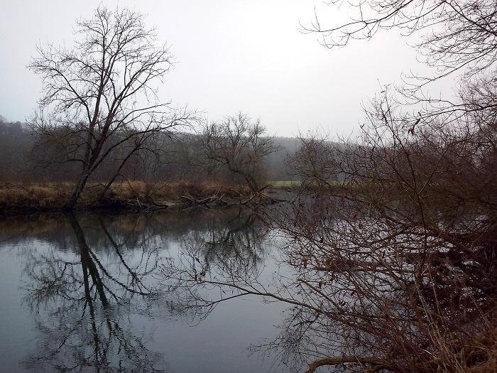 Donau Kohlenwegle 08.12 (4) - Kopie.jpg
