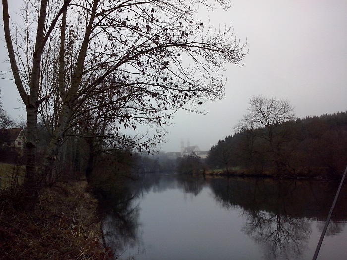 Donau Kohlenwegle 08.12 (2) - Kopie.jpg