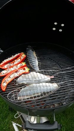 Auf dem Grill 1.jpg